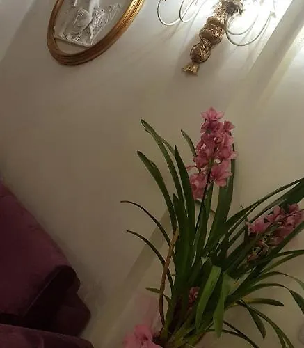 Πανσιόν Stella Del Mar S.stefano