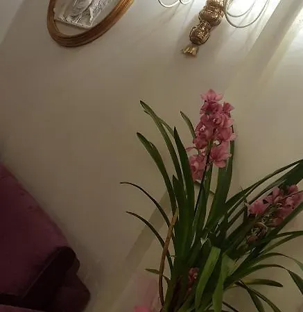 بيت ضيافة Stella Del Mar S.stefano