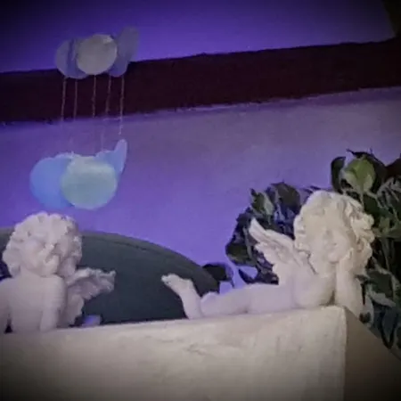 Stella Del Mar S.stefano Guest house Bologna